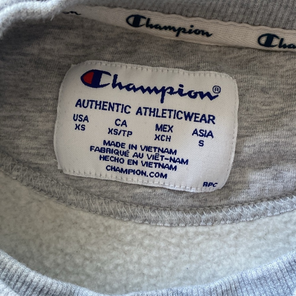 Champion Gray Cropped Tie Front Hoodie - Picture 7 of 8
